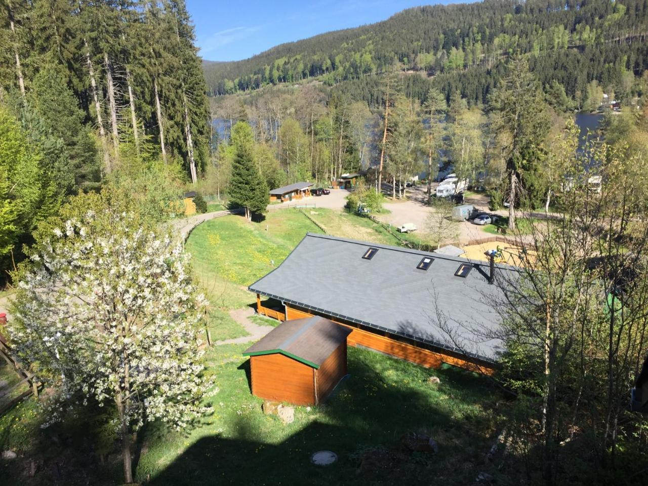 Titisee Haus Vogelnest Apartman Kültér fotó