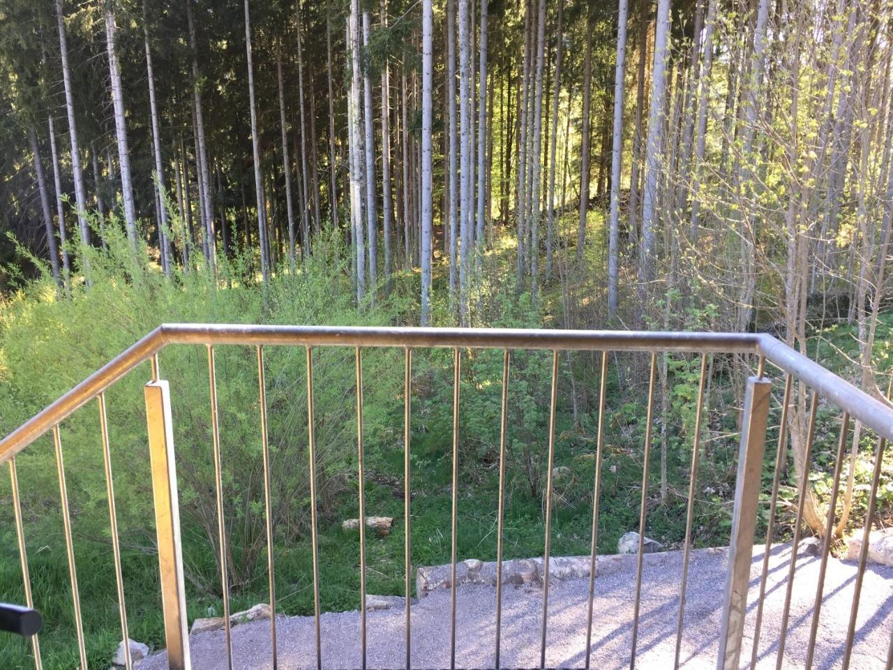 Titisee Haus Vogelnest Apartman Kültér fotó