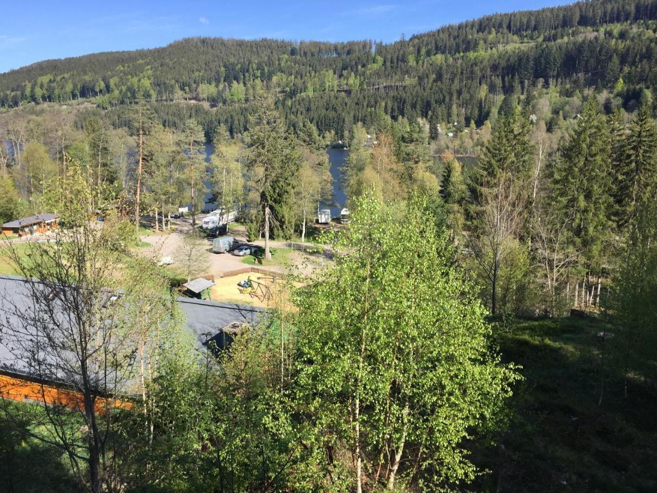 Titisee Haus Vogelnest Apartman Kültér fotó