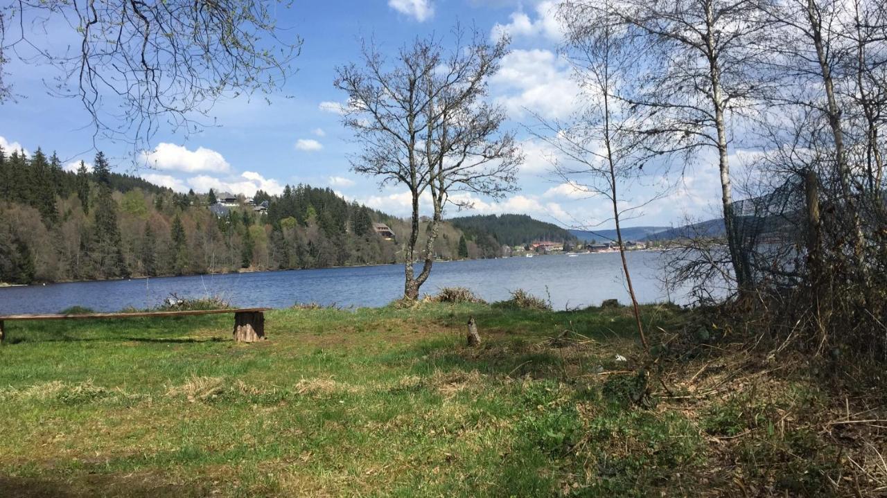 Titisee Haus Vogelnest Apartman Kültér fotó