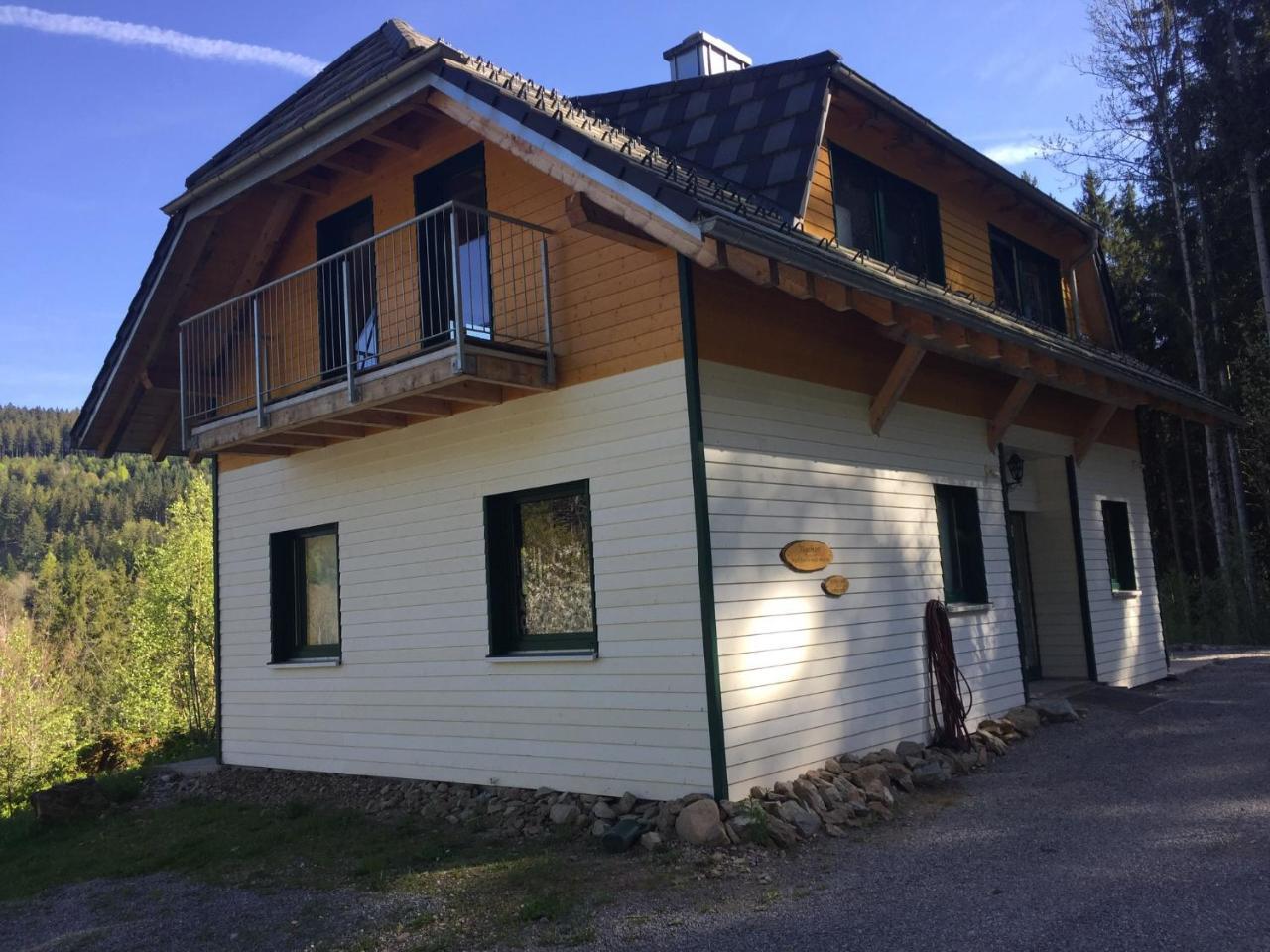 Titisee Haus Vogelnest Apartman Kültér fotó