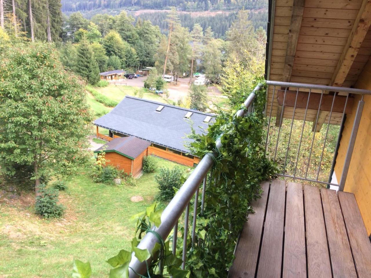 Titisee Haus Vogelnest Apartman Kültér fotó