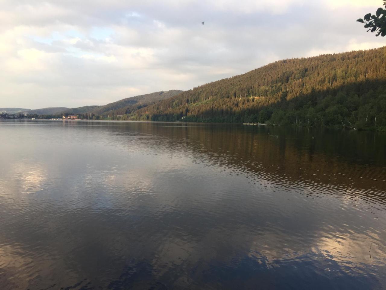 Titisee Haus Vogelnest Apartman Kültér fotó