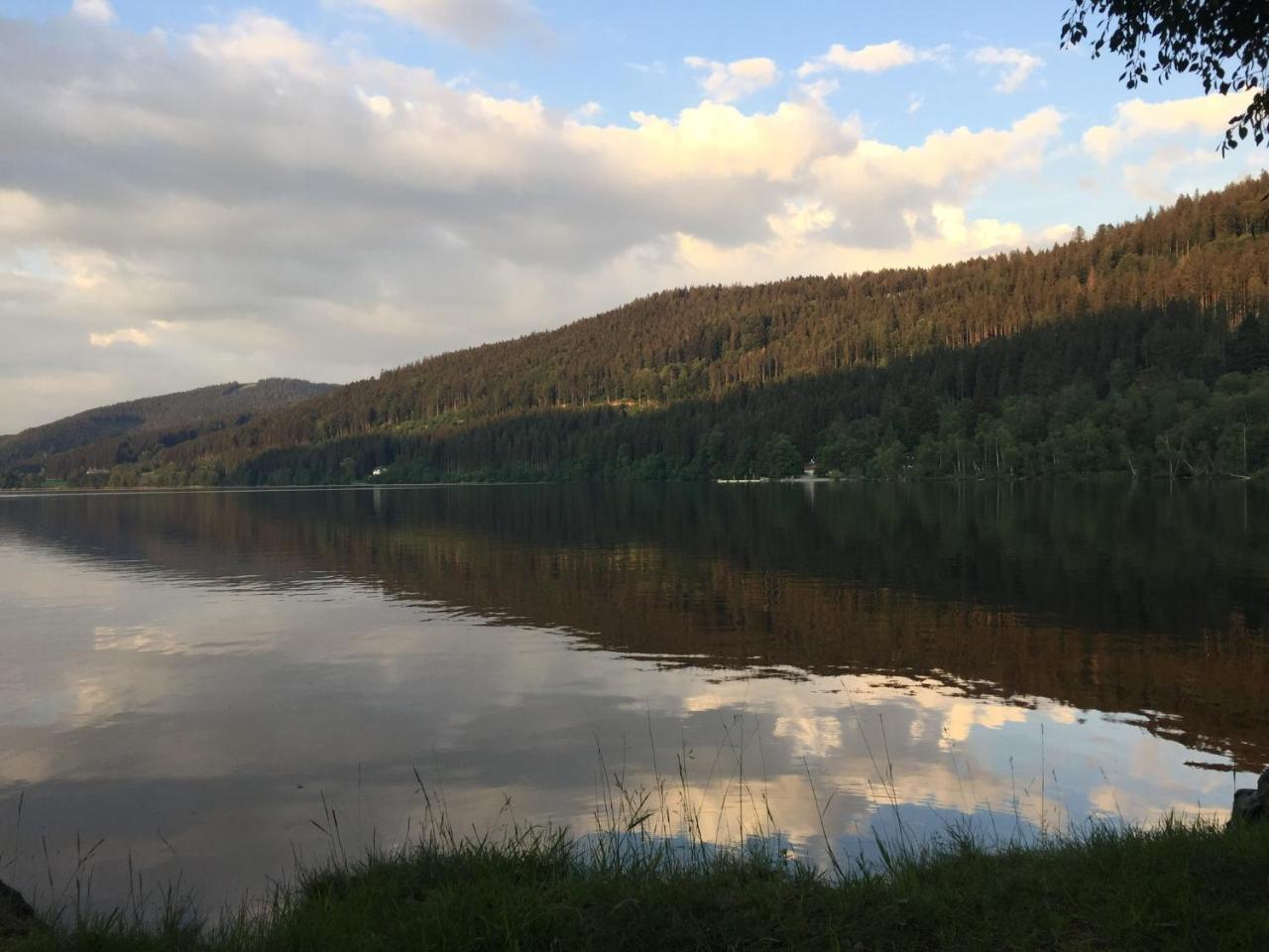 Titisee Haus Vogelnest Apartman Kültér fotó