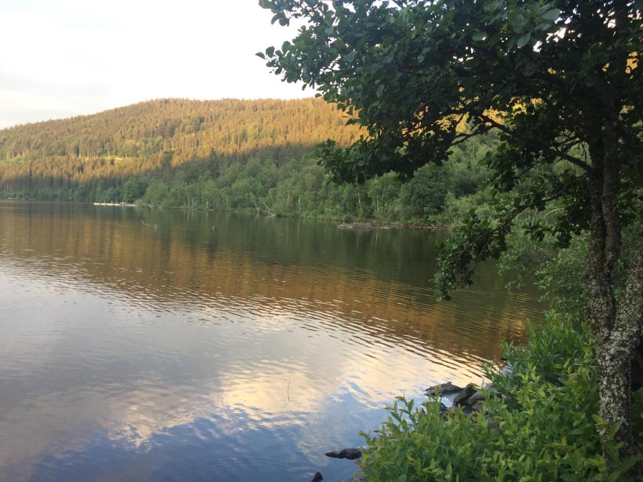 Titisee Haus Vogelnest Apartman Kültér fotó