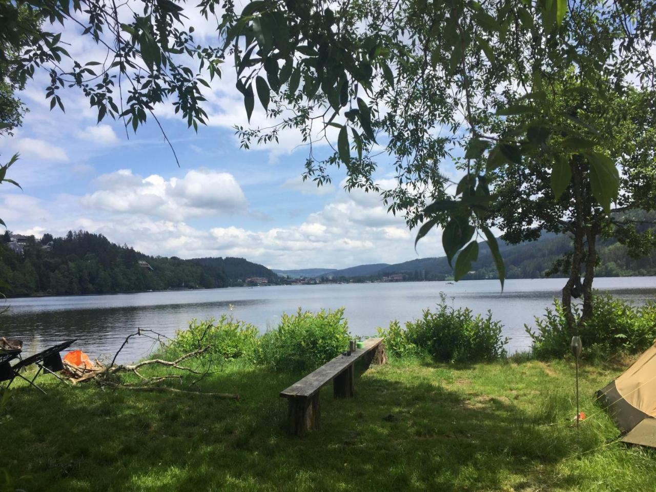 Titisee Haus Vogelnest Apartman Kültér fotó