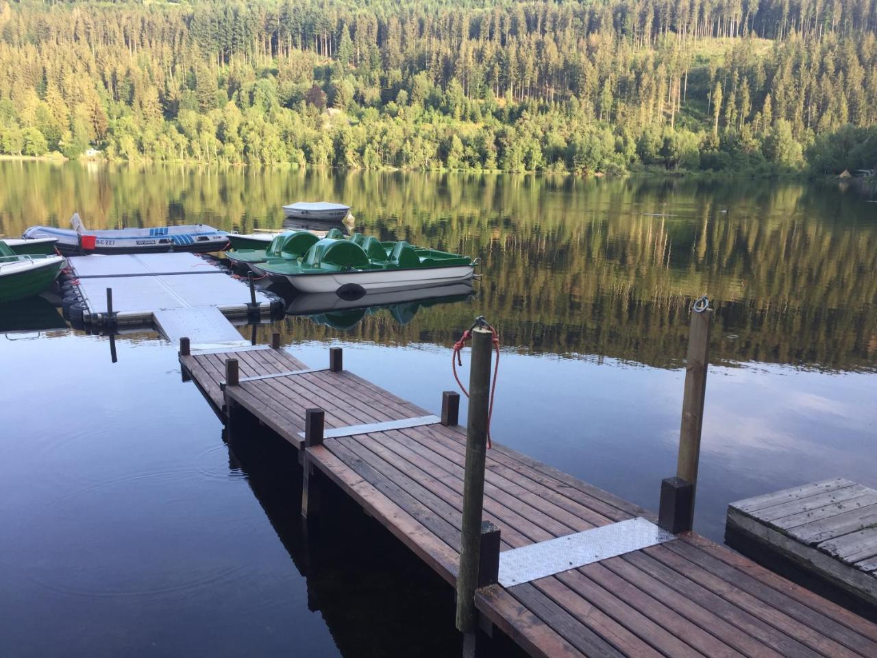 Titisee Haus Vogelnest Apartman Kültér fotó