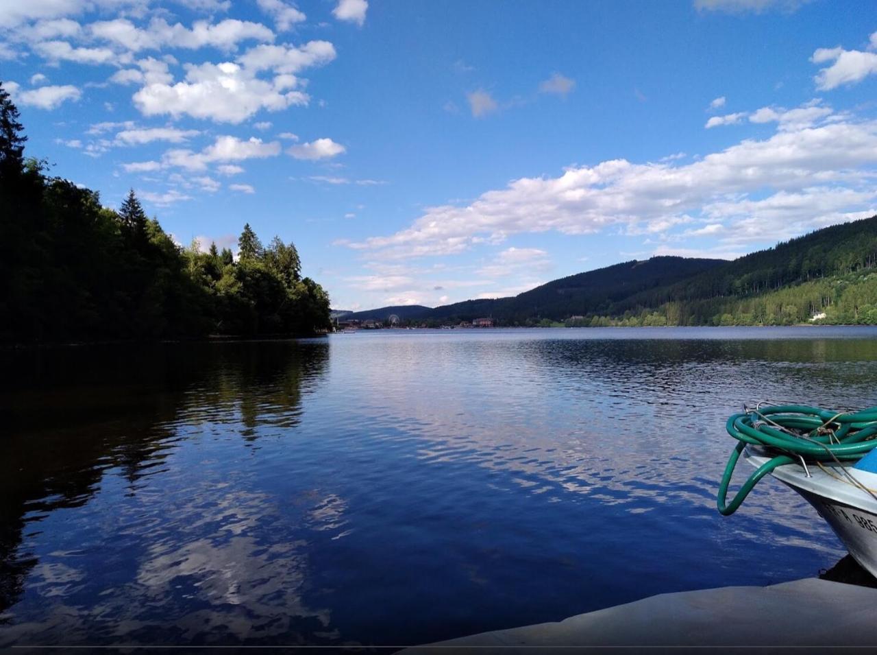 Titisee Haus Vogelnest Apartman Kültér fotó