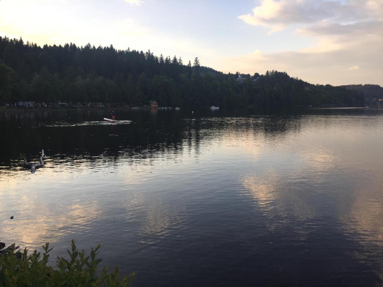 Titisee Haus Vogelnest Apartman Kültér fotó