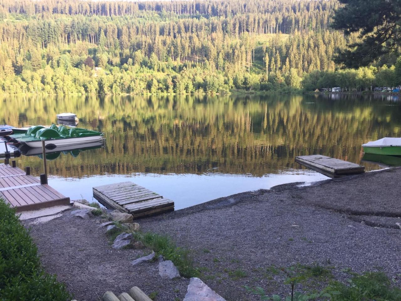 Titisee Haus Vogelnest Apartman Kültér fotó