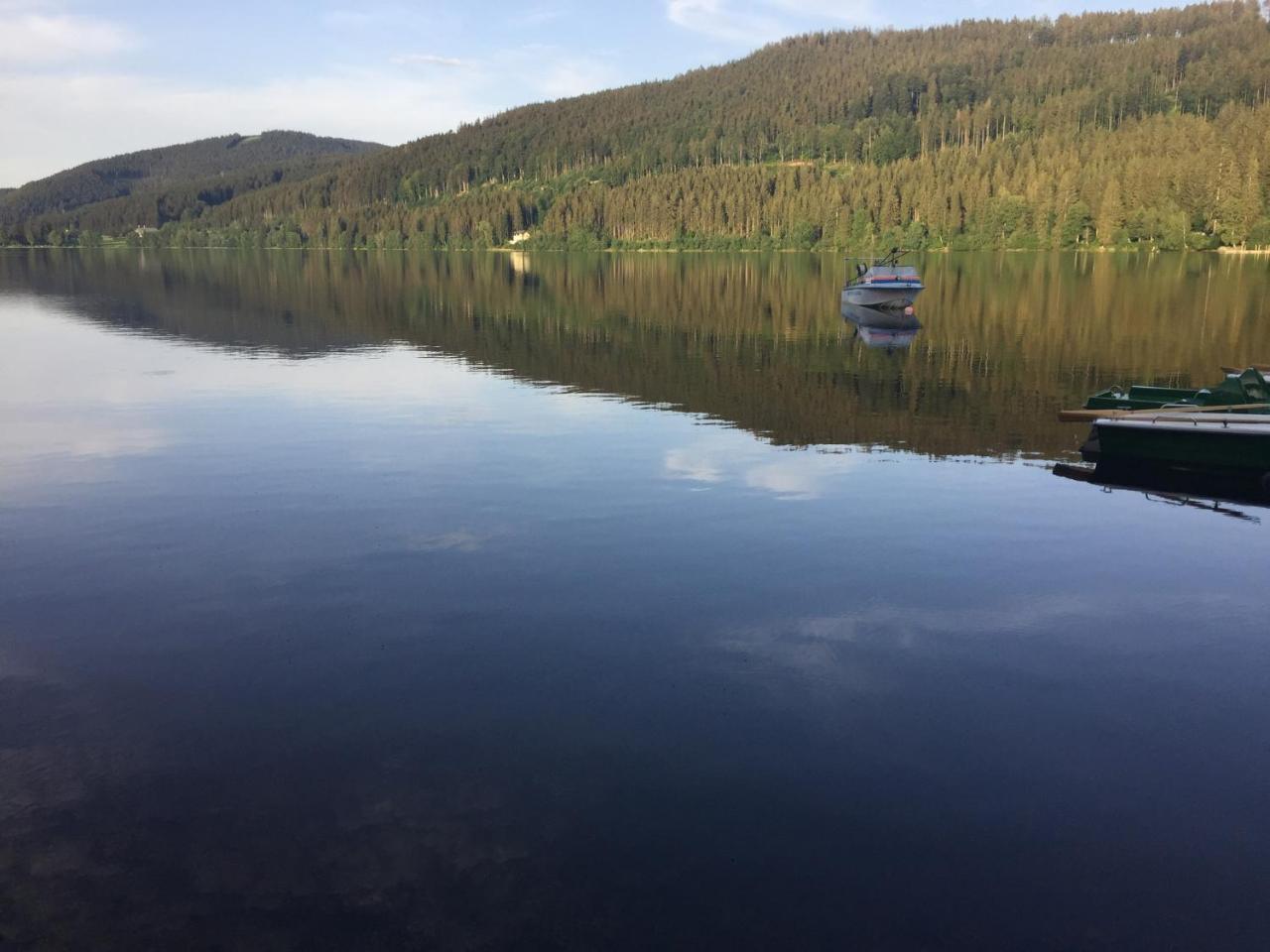 Titisee Haus Vogelnest Apartman Kültér fotó