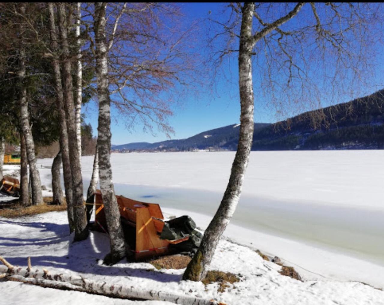 Titisee Haus Vogelnest Apartman Kültér fotó