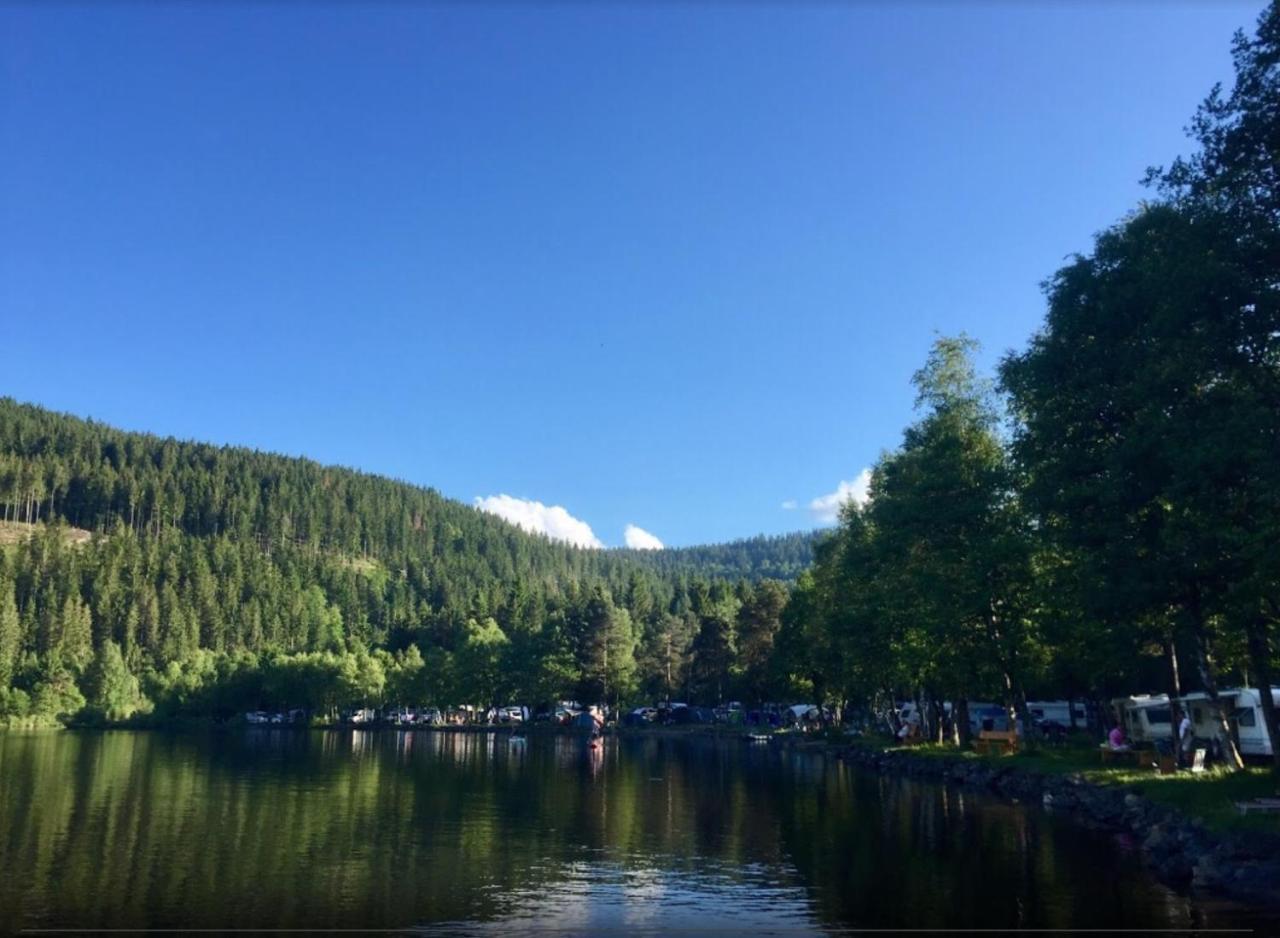 Titisee Haus Vogelnest Apartman Kültér fotó