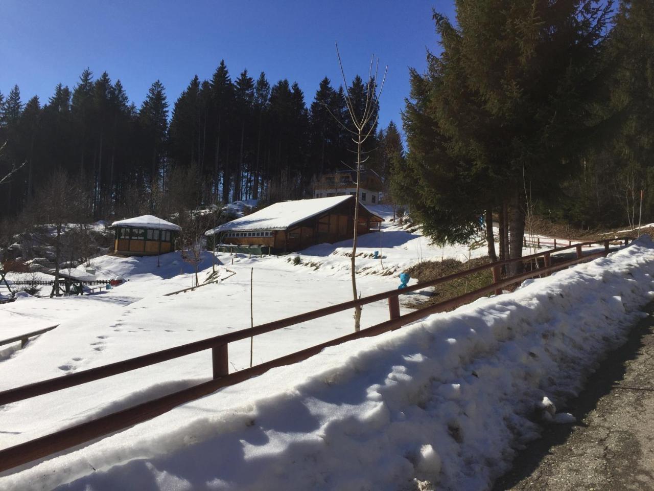 Titisee Haus Vogelnest Apartman Kültér fotó