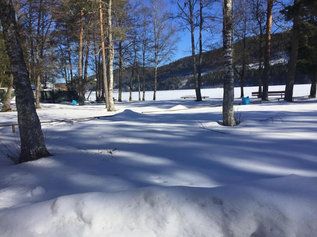 Titisee Haus Vogelnest Apartman Kültér fotó