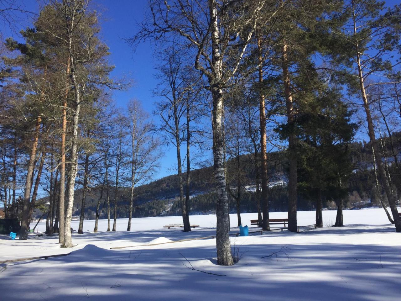 Titisee Haus Vogelnest Apartman Kültér fotó