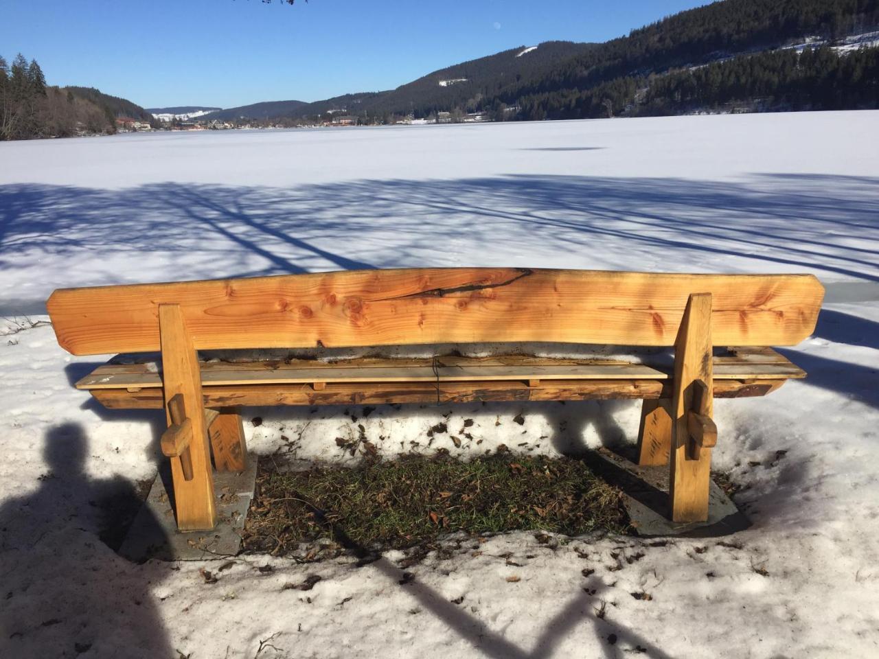 Titisee Haus Vogelnest Apartman Kültér fotó